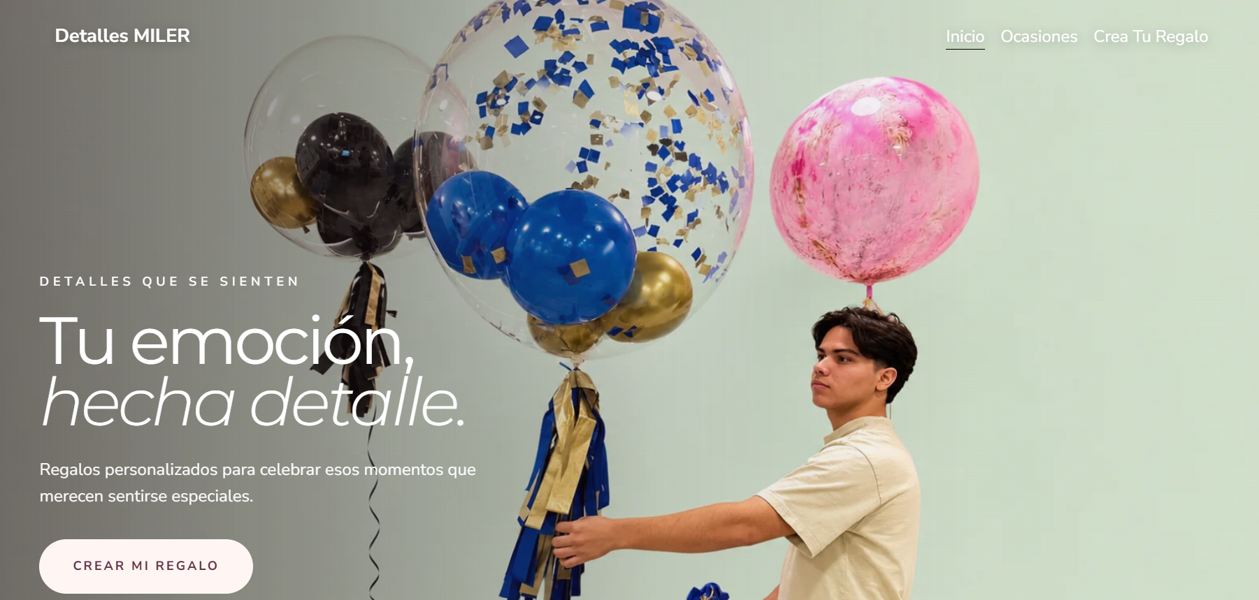 Detalles MILER website